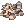 Quest : เควสต์ Lazy Raccoon